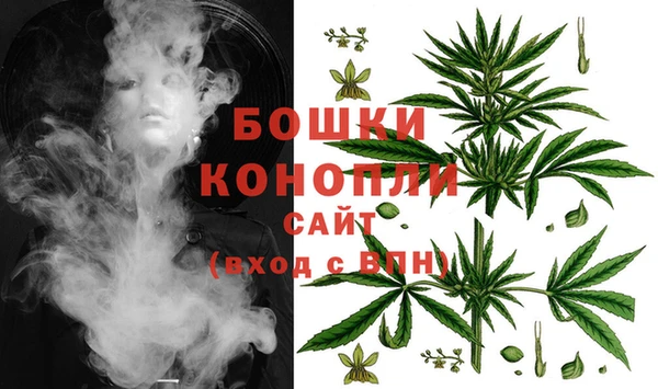 крисы Карталы