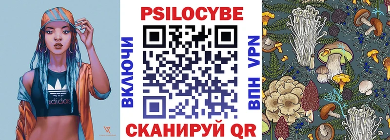 Купить где  Весьегонск  Псилоцибиновые грибы прущие грибы 